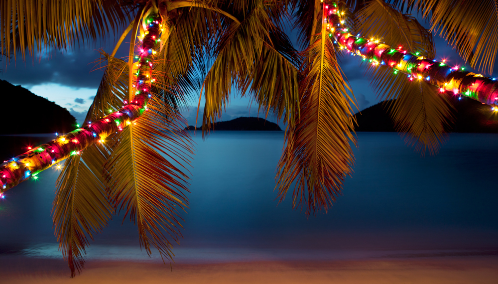 Christmas Lights on Palm Trees